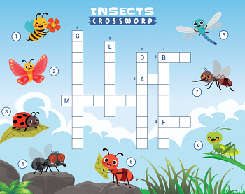 Insects | Picture Crossword for Kids